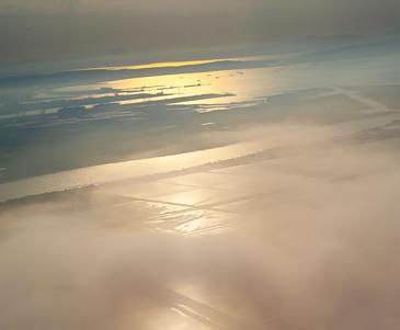 Camargue, Salt Marshes © Etienne Pierart
